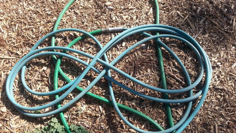 20140516_170605.jpg image