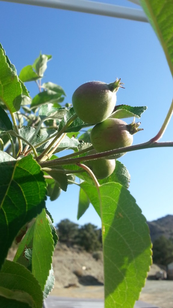 Already bearing fruit!