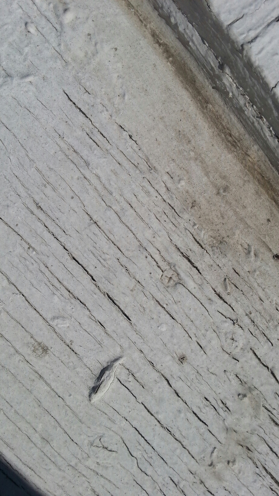 20140601_160915.jpg image