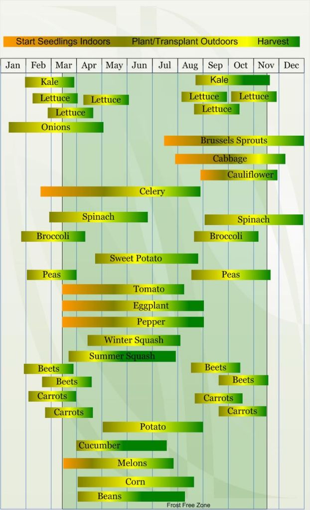 Hardiness Zone 8 planting calendar