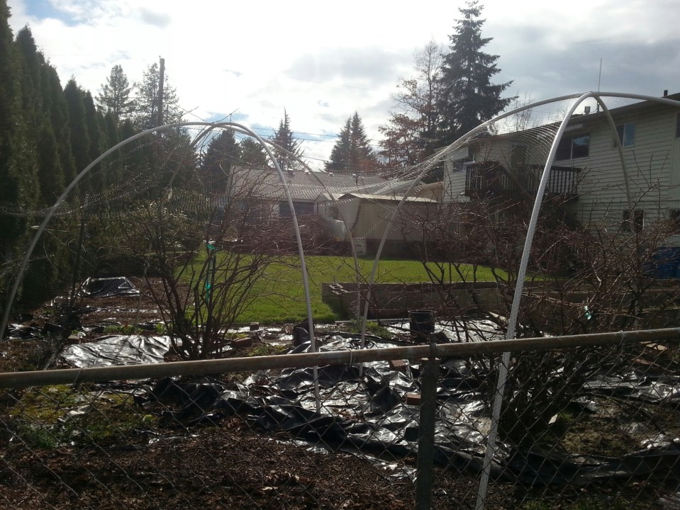 20150219_125827.jpg image