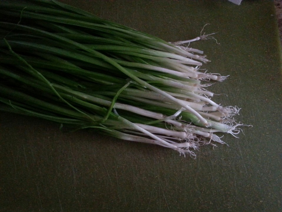 20150322_165937.jpg image