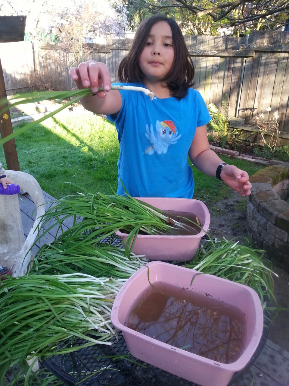 20150326_181627.jpg image