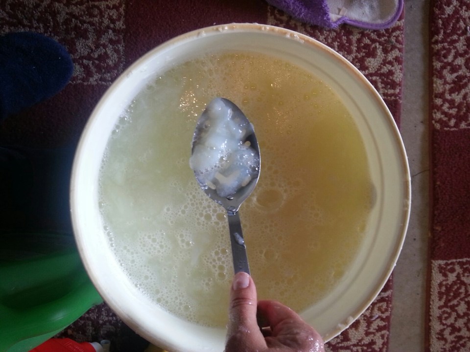 20150505_110302.jpg image