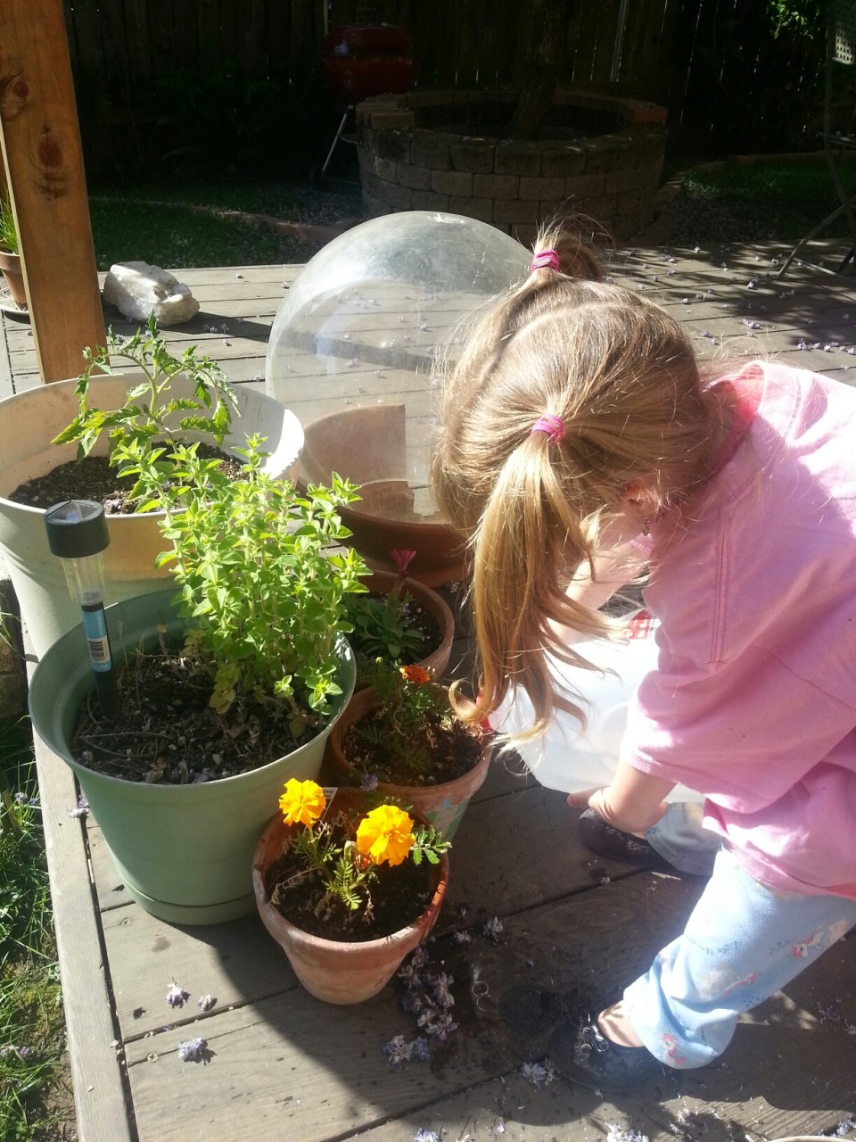 20150509_093752.jpg image