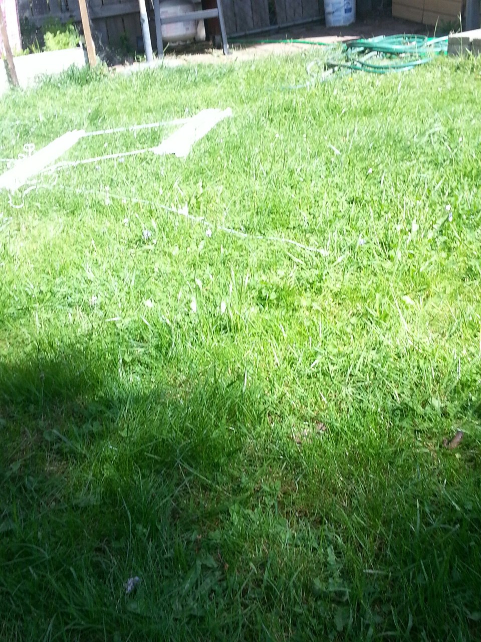 20150509_101724(0).jpg image