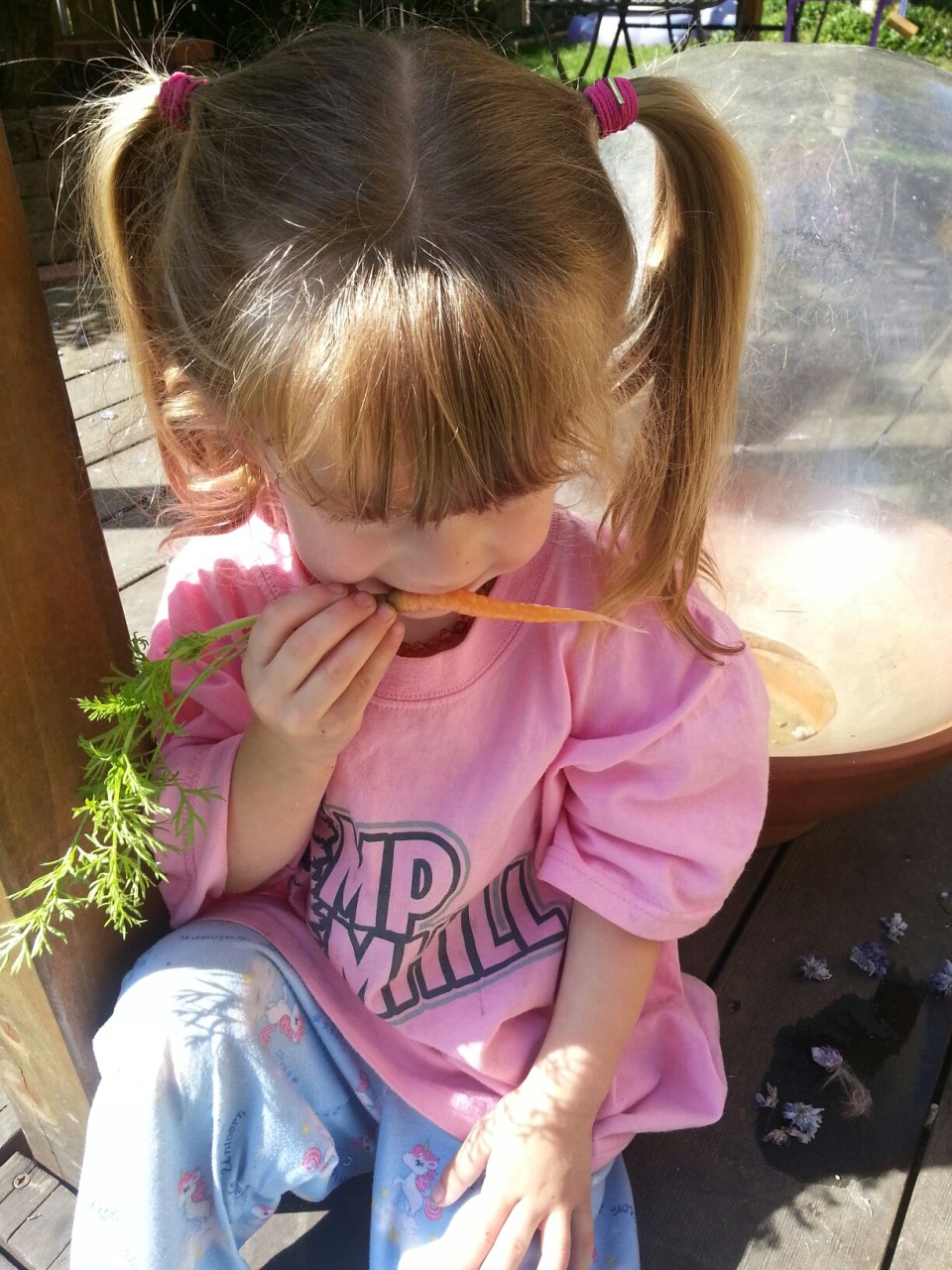 20150509_102552.jpg image