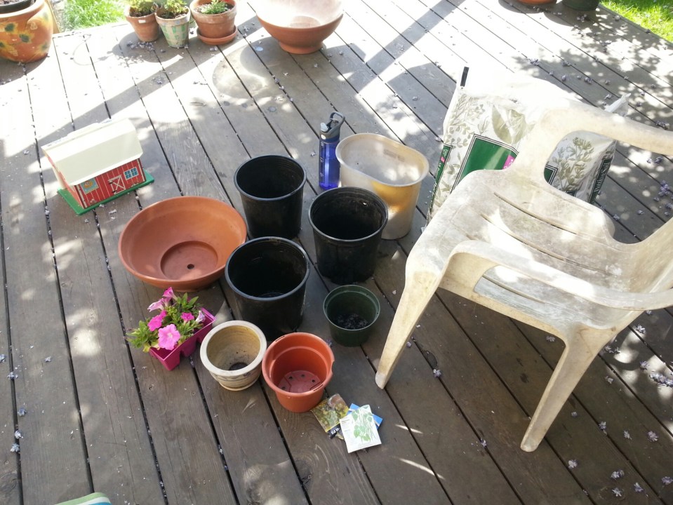 20150509_104300.jpg image