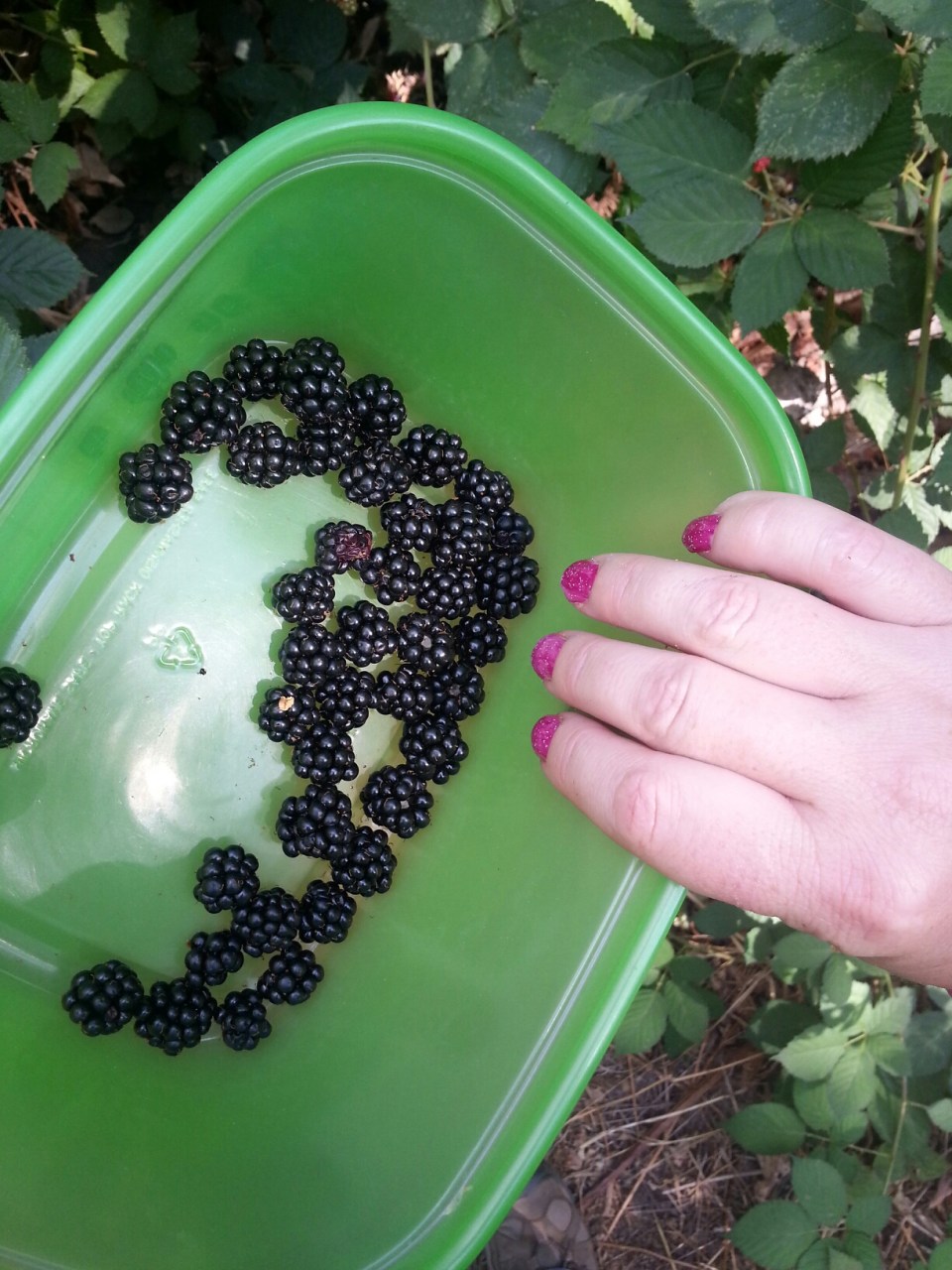 20150824_154840.jpg image