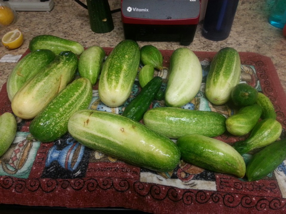 20150905_134428.jpg image