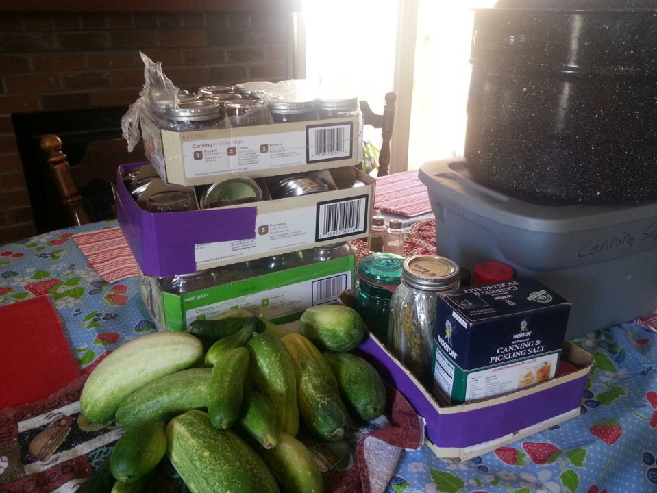 20150905_143221.jpg image