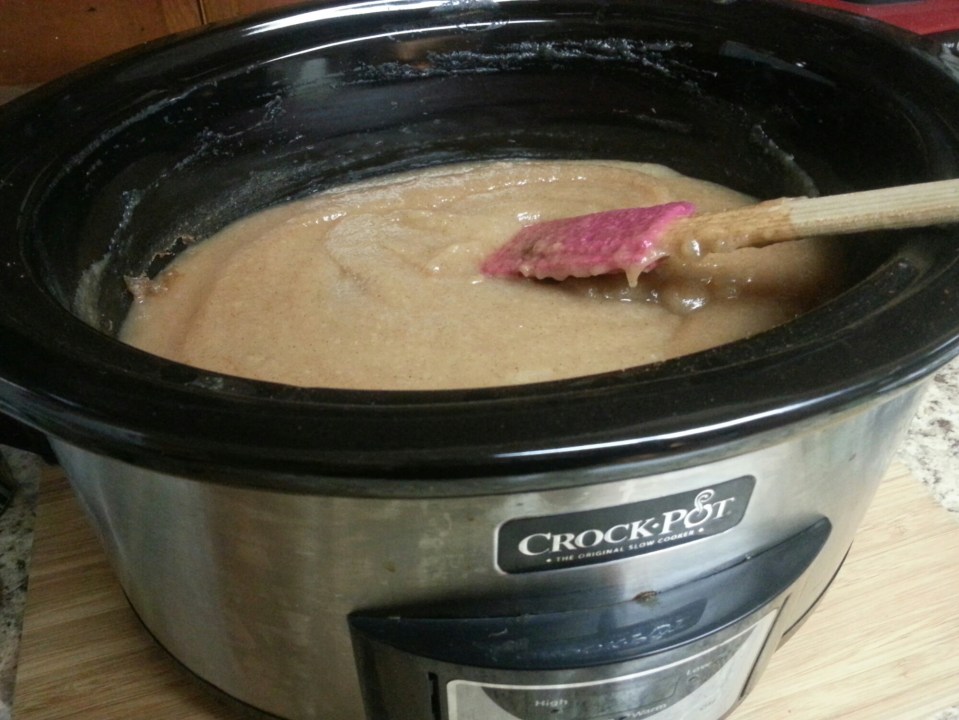 wp-1441521065092 image