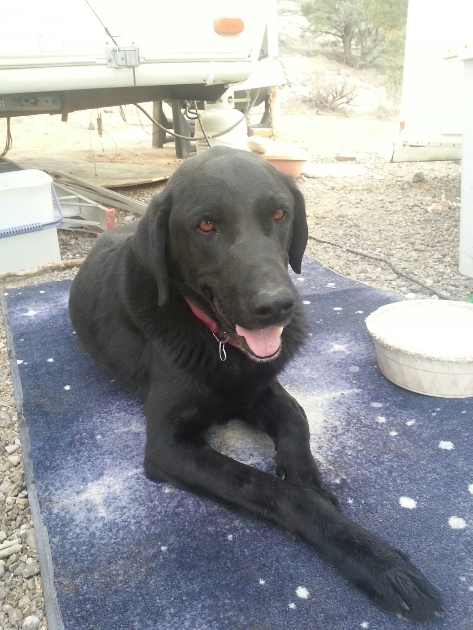 20150925_175234.jpg image