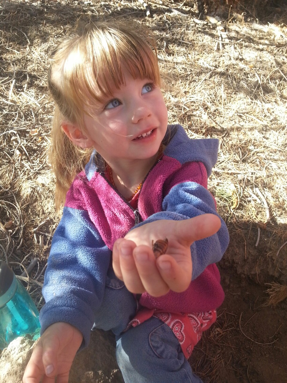 20150926_094331.jpg image