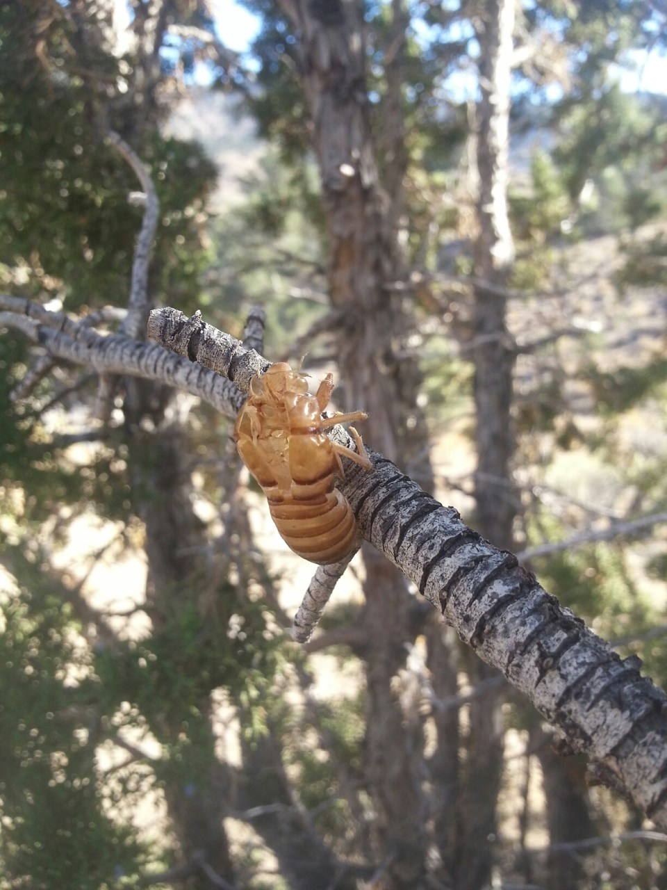 20150926_094415.jpg image