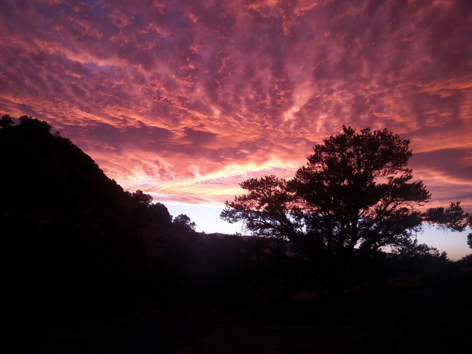 20150926_185645.jpg image