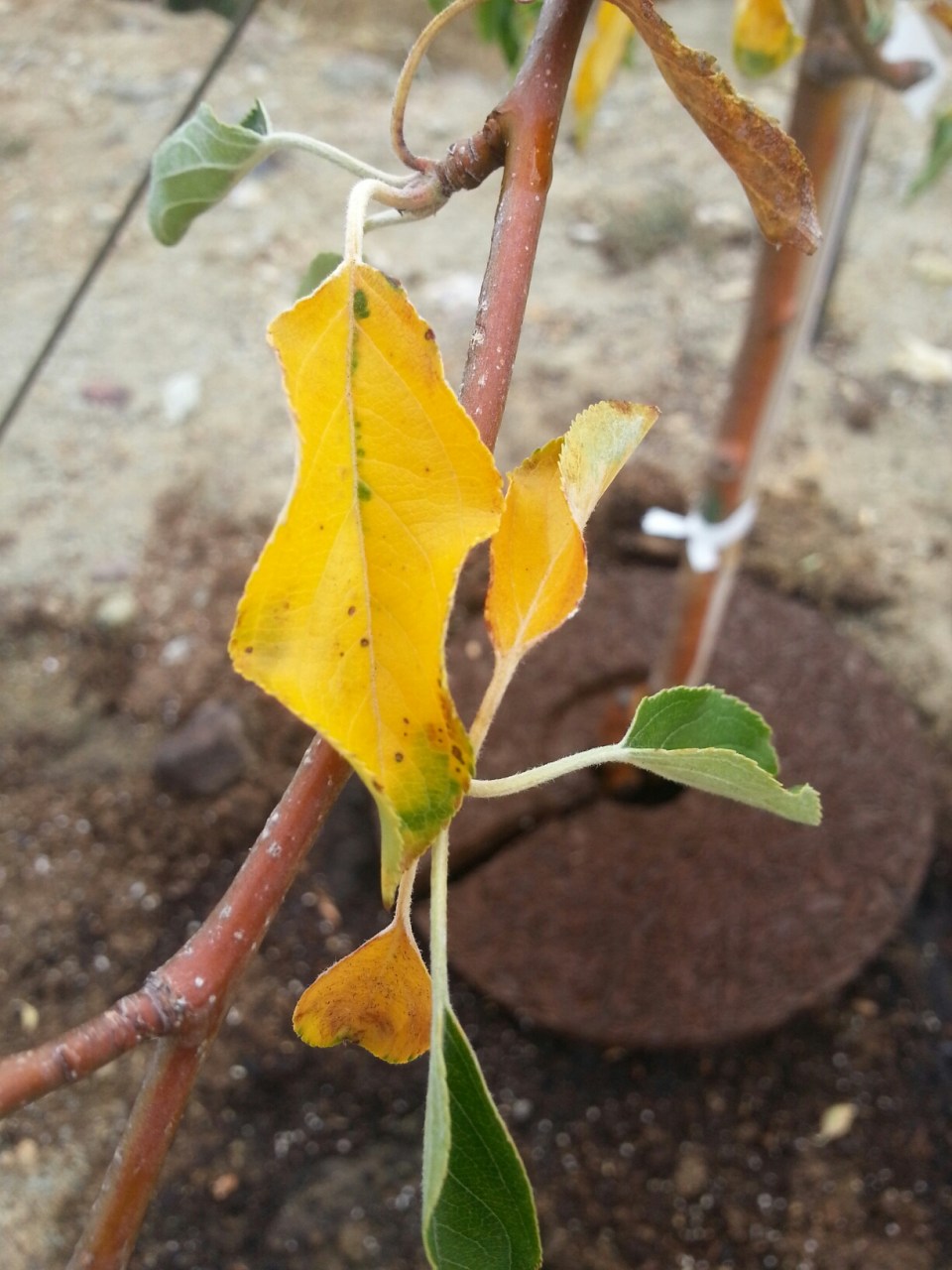 20150928_085641.jpg image