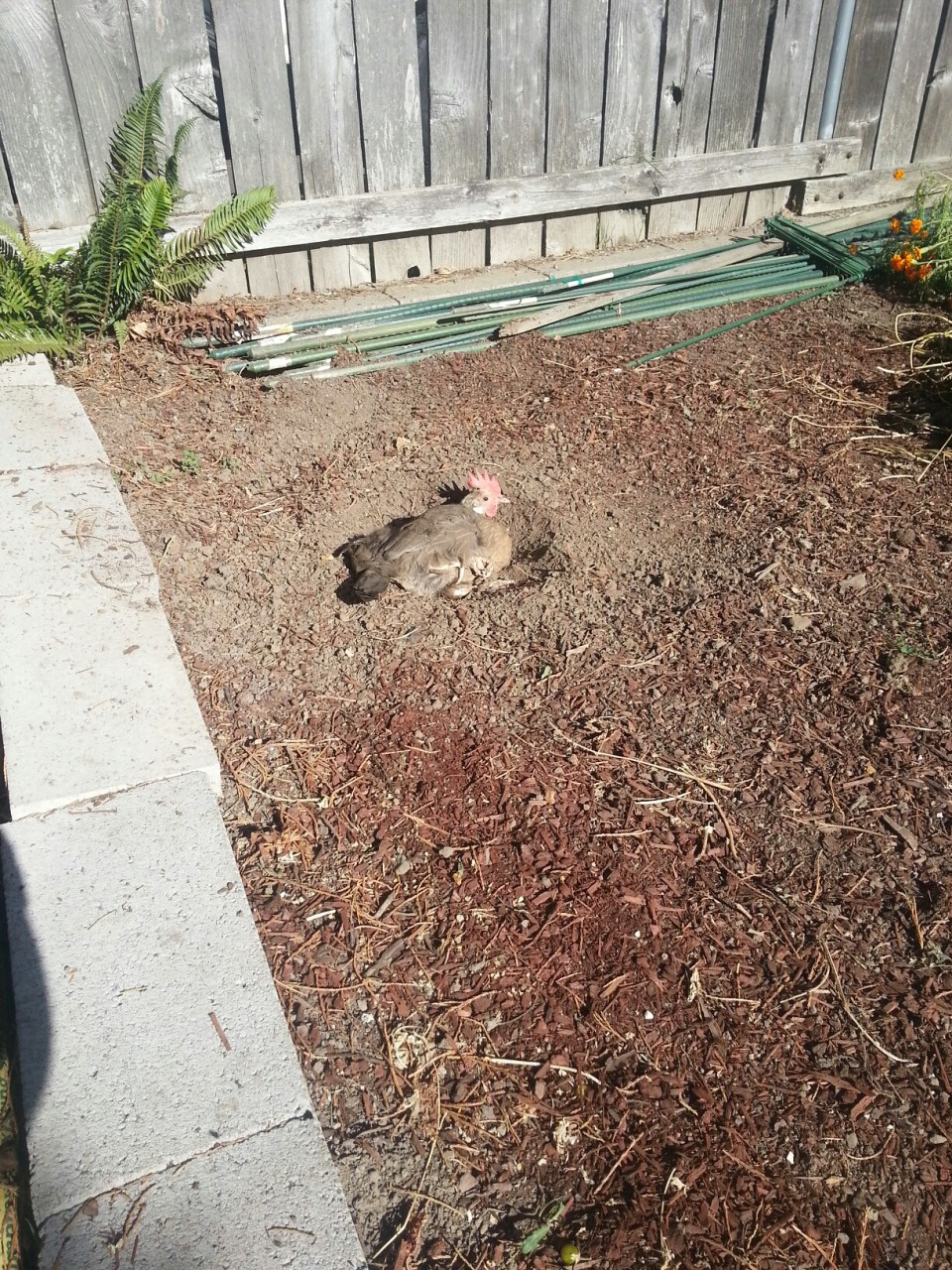 20150929_151555.jpg image