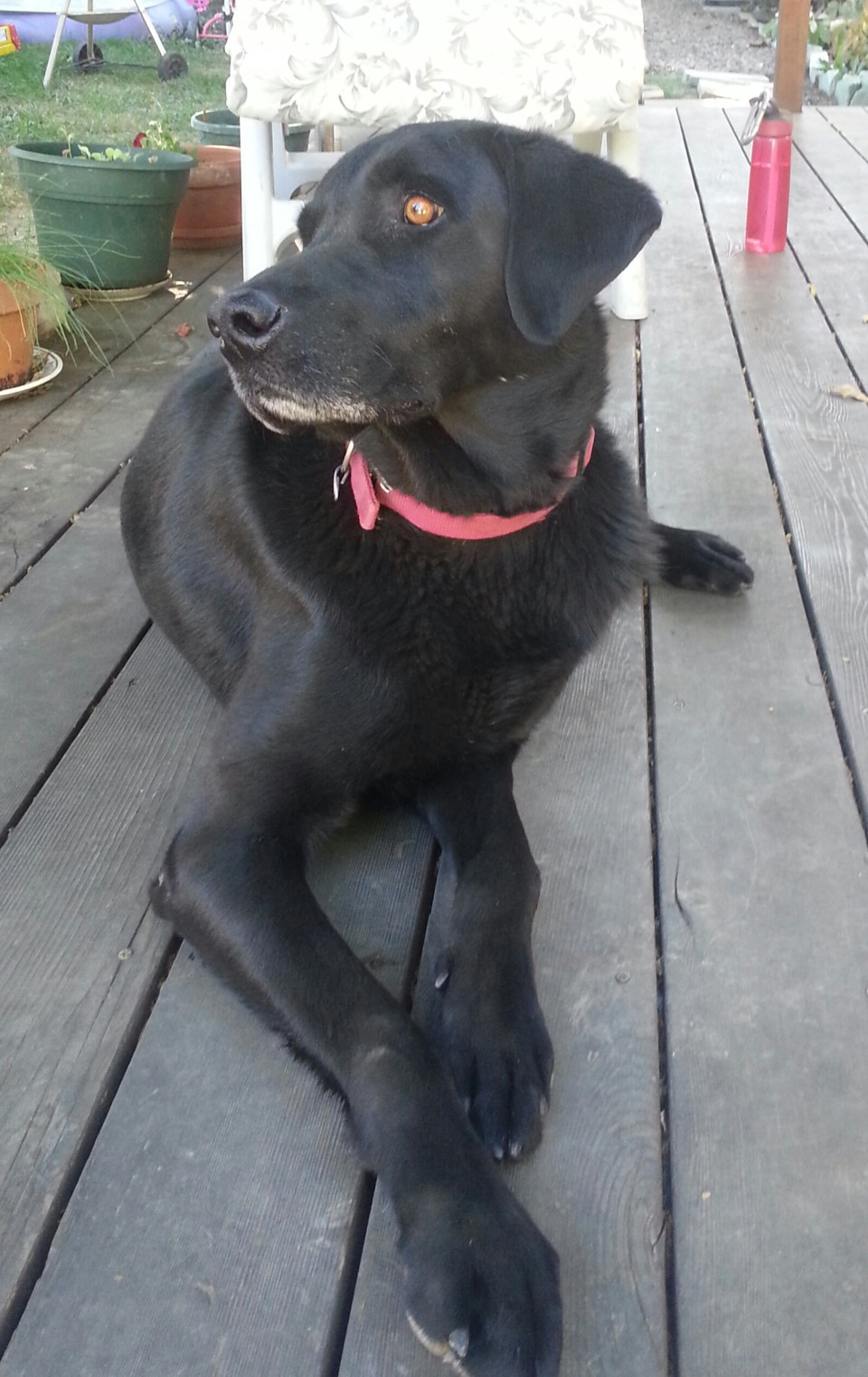 20150929_151624-1.jpg image