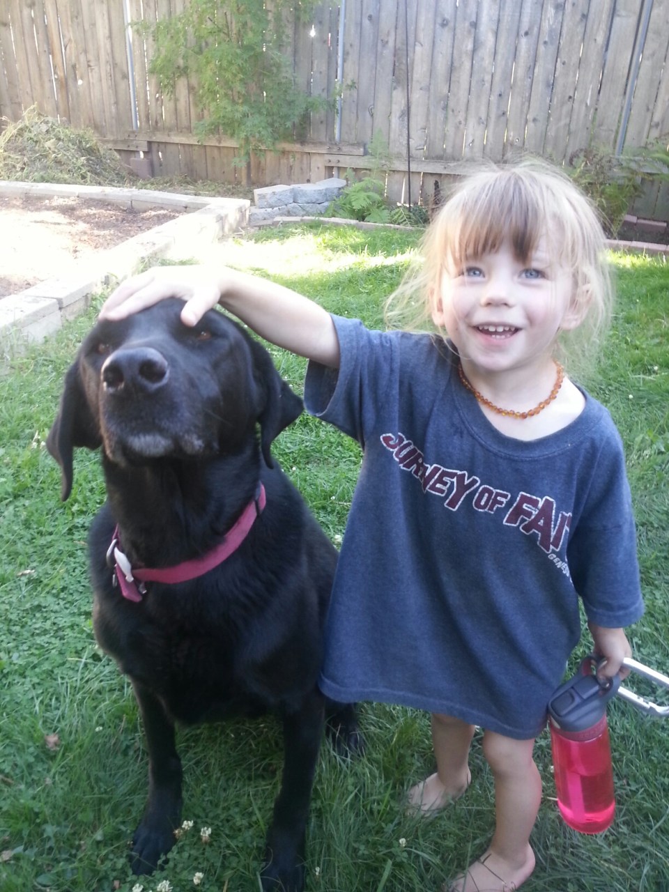 20150929_153126.jpg image