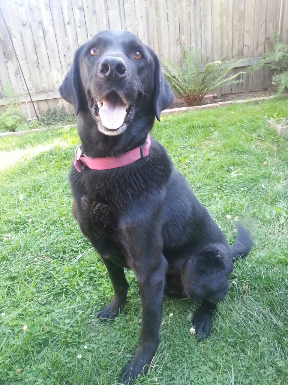 20150929_153236.jpg image