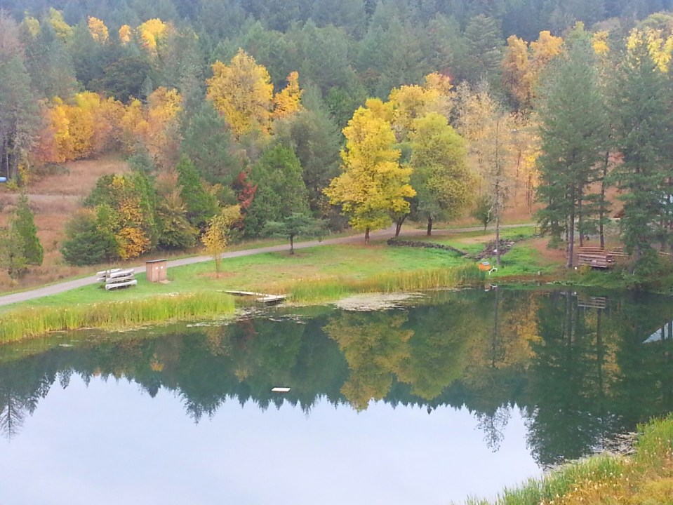 20151003_095542.jpg image