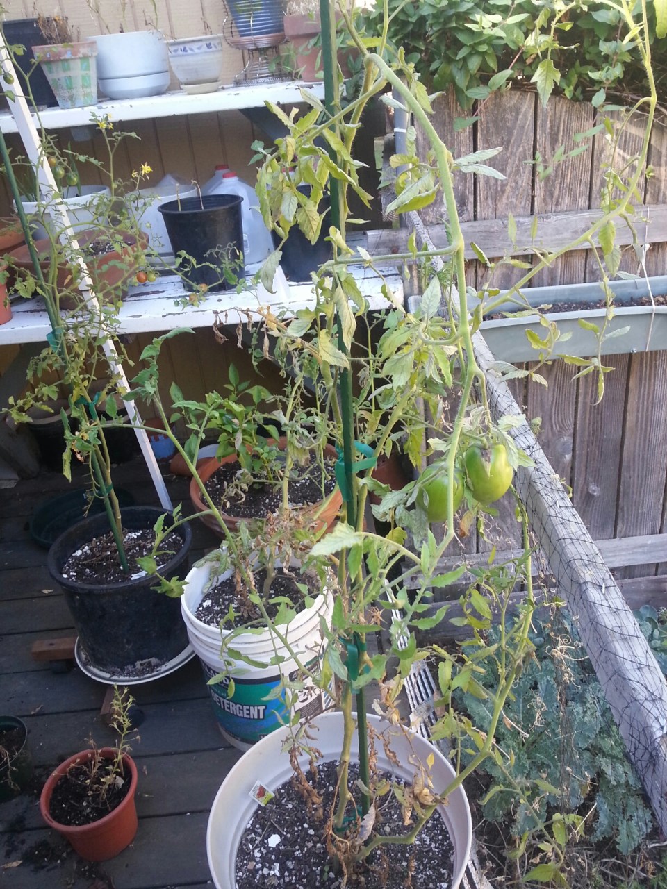 20151004_144647.jpg image