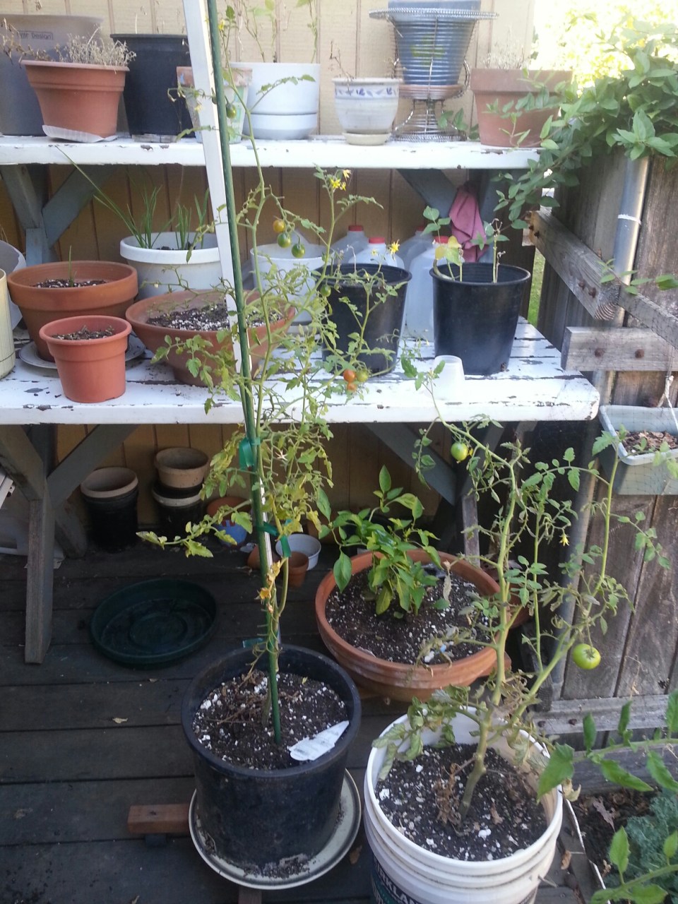 20151004_144703.jpg image