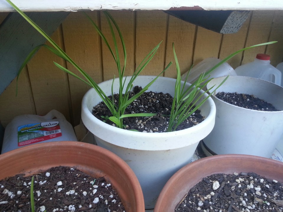 20151004_144725.jpg image