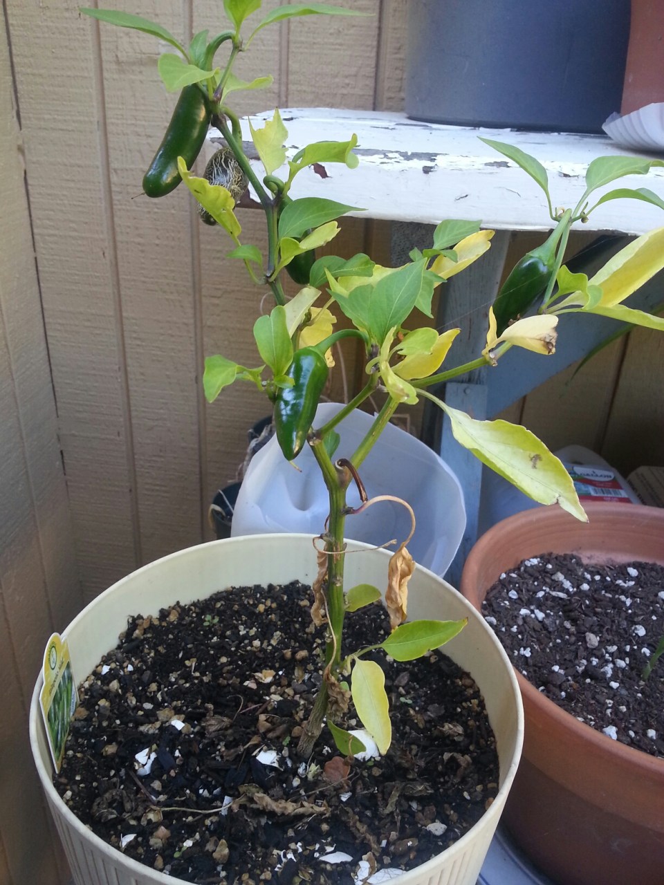 20151004_144738.jpg image