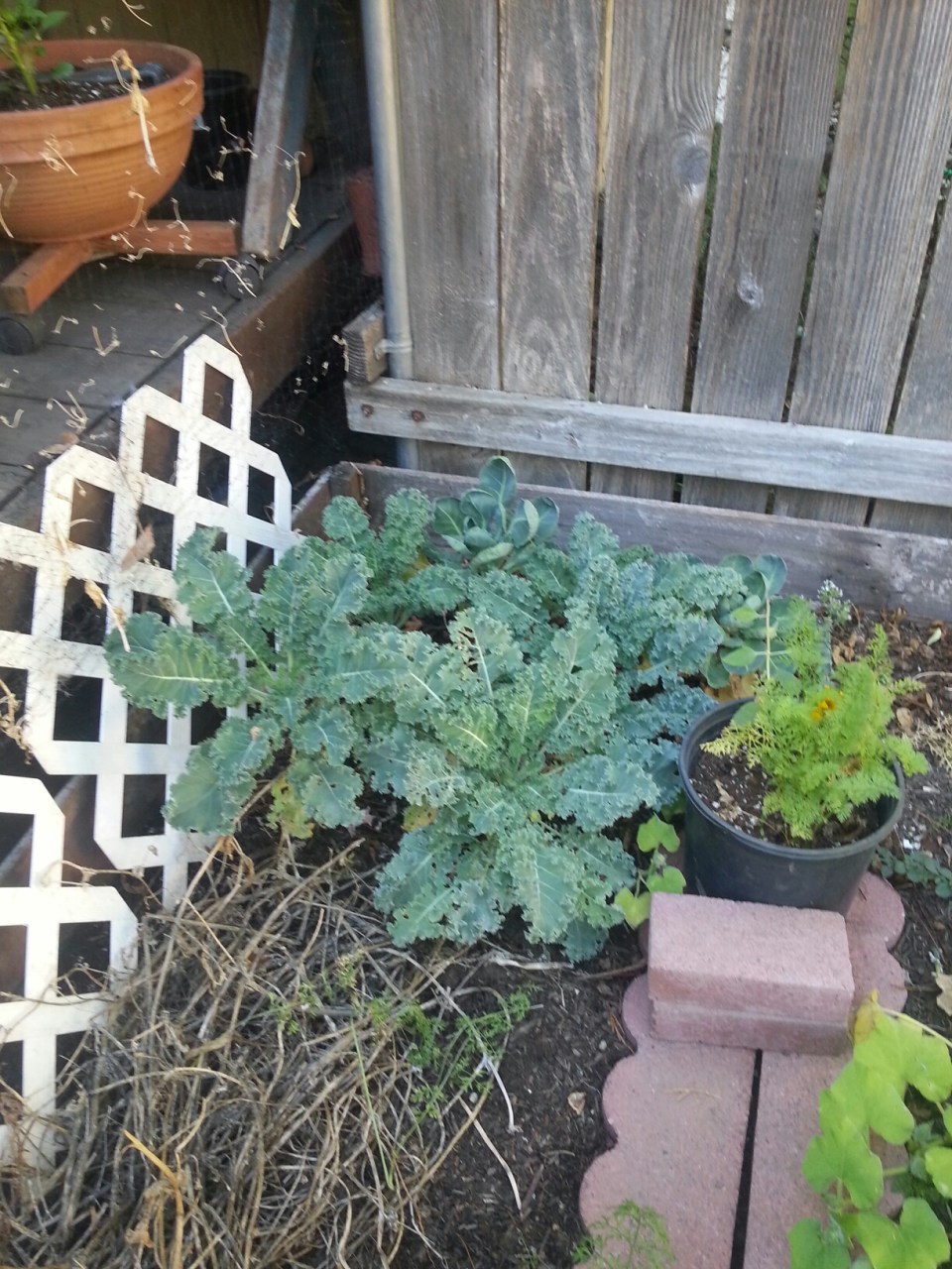 20151004_144833.jpg image