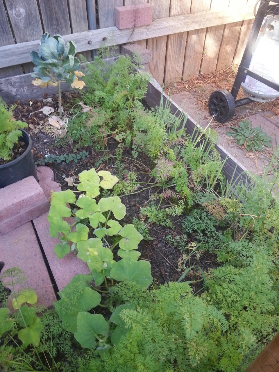 20151004_144838.jpg image