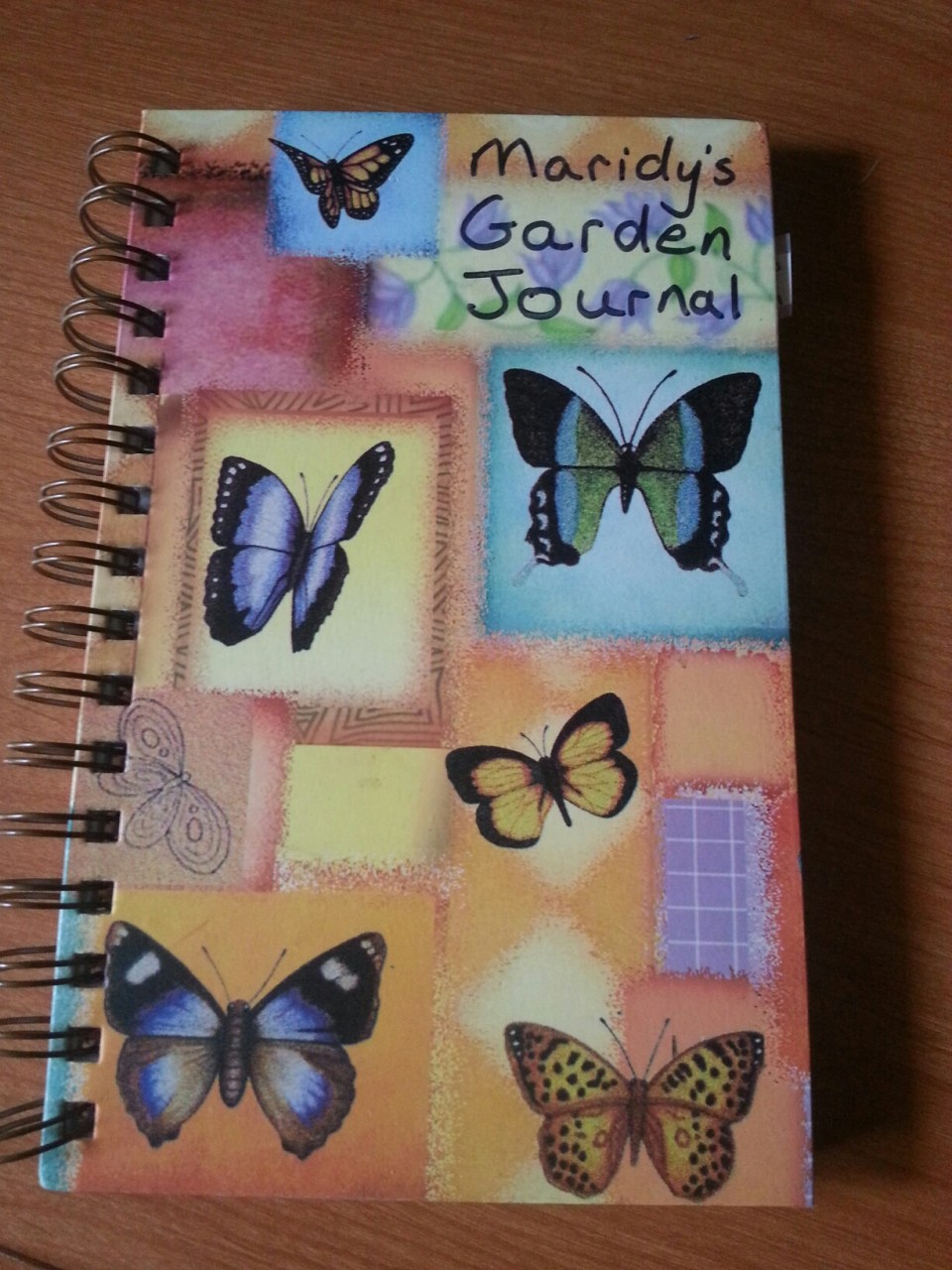 20151007_153737.jpg image