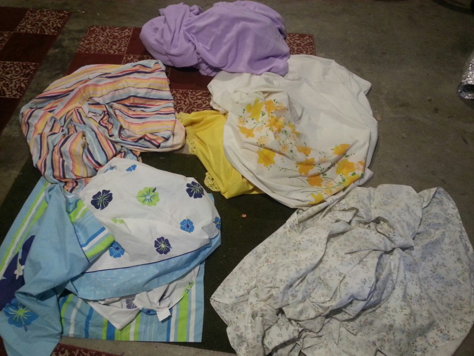 20151010_135507.jpg image