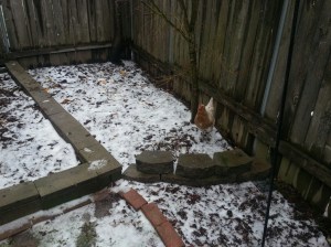 The hens don't mind a bit of snow.