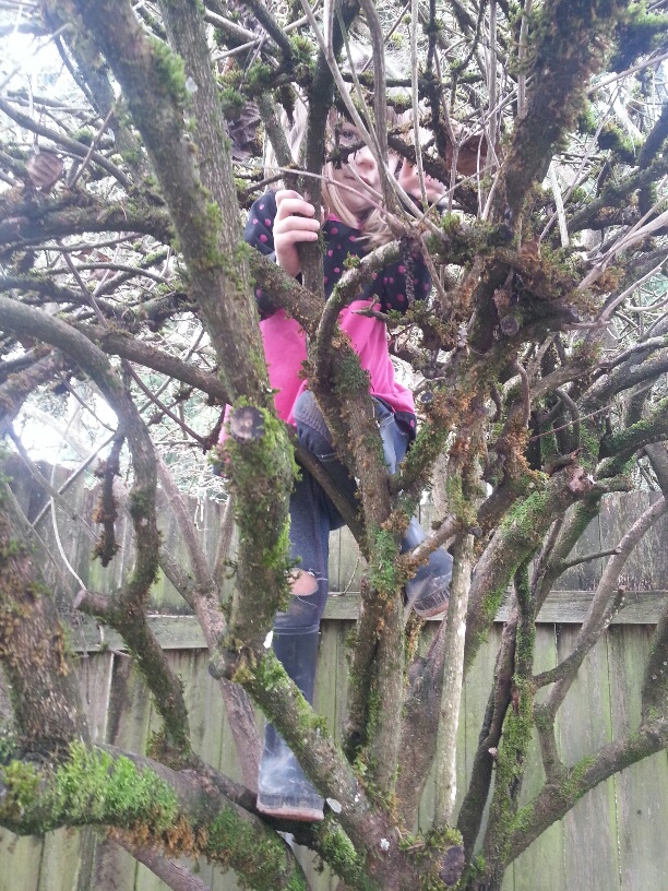 20160127_115145_resized