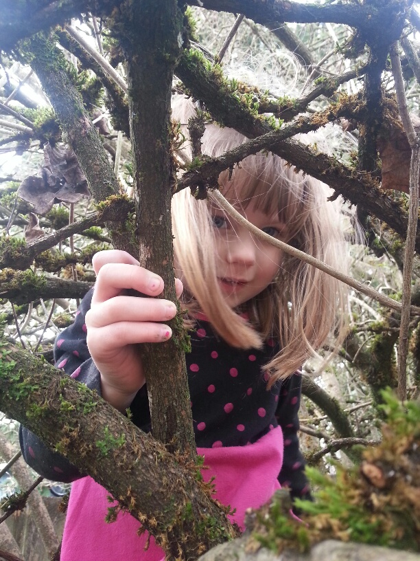 20160127_115205_resized