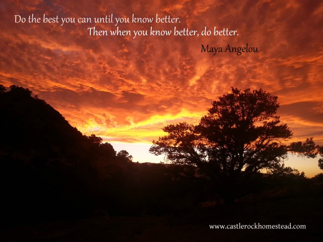 Do the best you can - CR sunset (Small)