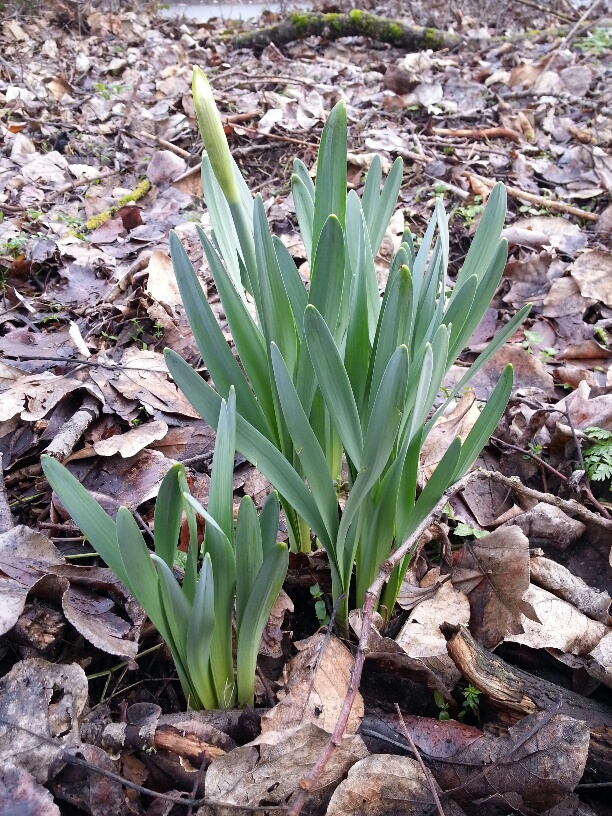 20160202_111858_resized