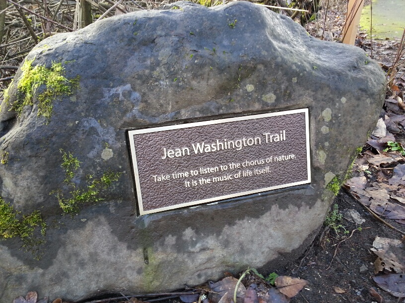 20160202_115159_resized