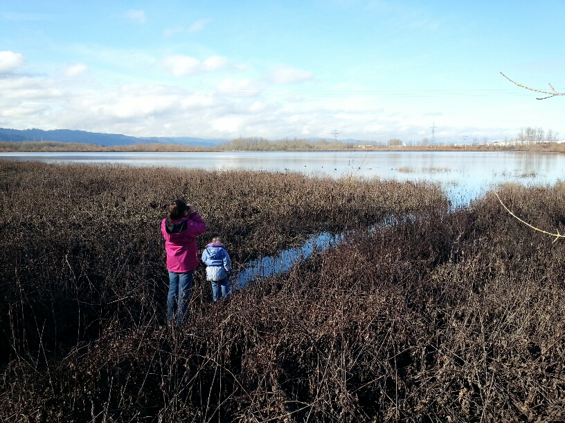 20160202_122449_resized