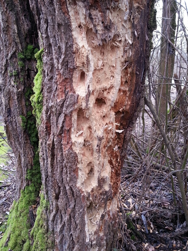 20160202_134426_resized