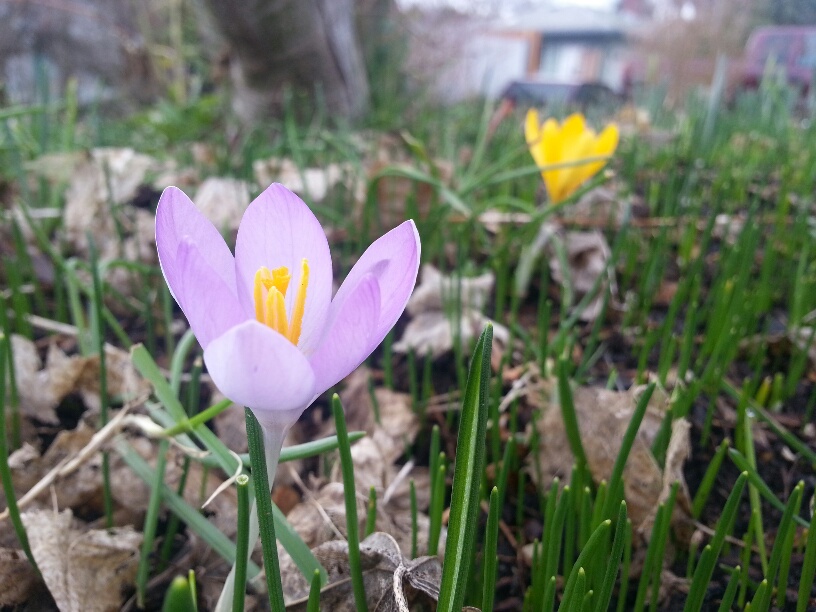 20160205_133907_resized.jpg image