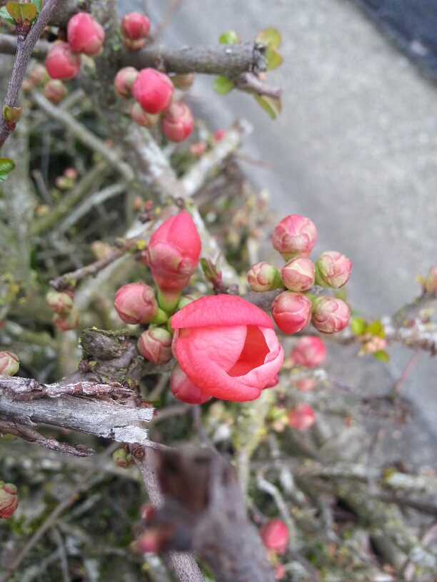 20160205_135449_resized.jpg image