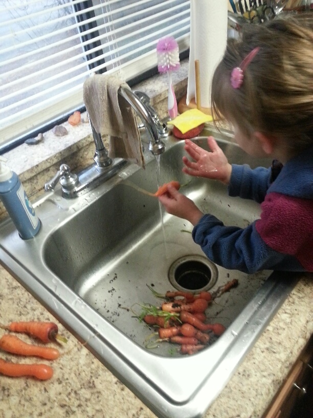 20160206_170928_resized.jpg image