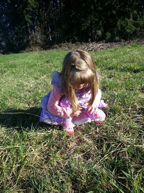 20160208_135057_resized.jpg image