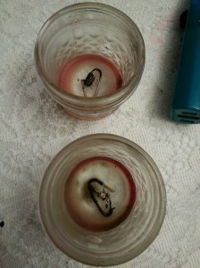 20160218_104331_resized