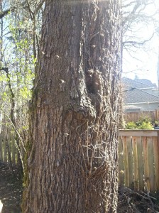 20160222_133415_resized