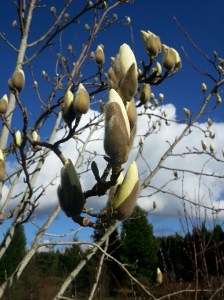 20160222_135159_resized