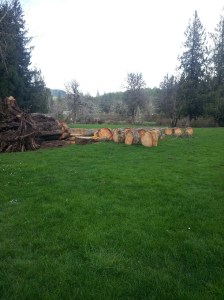 20160322_145414_resized